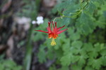 photo thumbnail #7