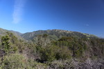 photo thumbnail #12