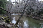 photo thumbnail #14