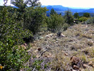 photo thumbnail #11