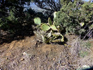 photo thumbnail #12