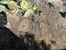 photo thumbnail #14