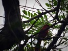 photo thumbnail #15