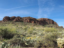 photo thumbnail #4