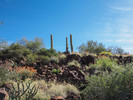 photo thumbnail #5