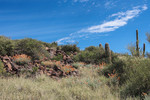 photo thumbnail #7