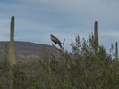 photo thumbnail #15