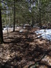photo thumbnail #13