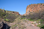 photo thumbnail #7