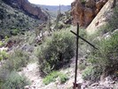 photo thumbnail #7