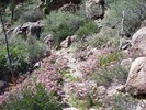 photo thumbnail #9