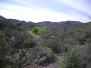 photo thumbnail #12