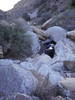 photo thumbnail #8