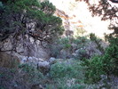 photo thumbnail #11