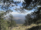 photo thumbnail #7