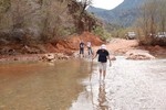 photo thumbnail #2