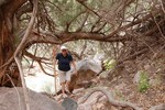 photo thumbnail #5