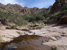 photo thumbnail #6
