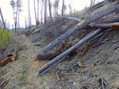 photo thumbnail #4