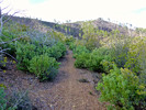 photo thumbnail #6