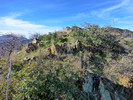 photo thumbnail #14
