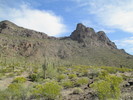 photo thumbnail #2