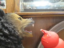 photo thumbnail #3