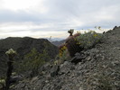photo thumbnail #2