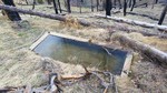 2016-03-05 :2: South Fork - Gold Ridge Loop :: The_N