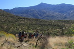 photo thumbnail #3