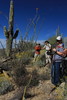 photo thumbnail #6