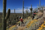 photo thumbnail #7
