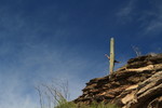photo thumbnail #8
