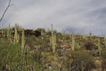 photo thumbnail #10