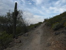photo thumbnail #3