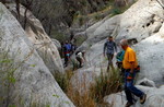 photo thumbnail #2