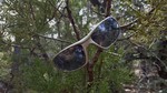 photo thumbnail #8