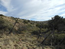 photo thumbnail #6