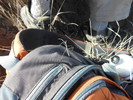 photo thumbnail #11