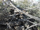 photo thumbnail #12