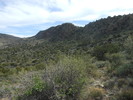 photo thumbnail #13