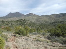 photo thumbnail #14