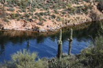 photo thumbnail #7