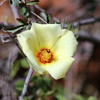 photo thumbnail #15