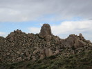 photo thumbnail #2