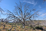 photo thumbnail #15