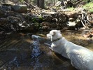 photo thumbnail #3