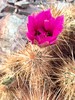 photo thumbnail #4