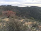 photo thumbnail #15