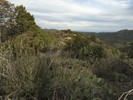photo thumbnail #12